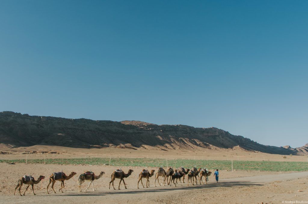 Desierto de Zagora Marruecos
