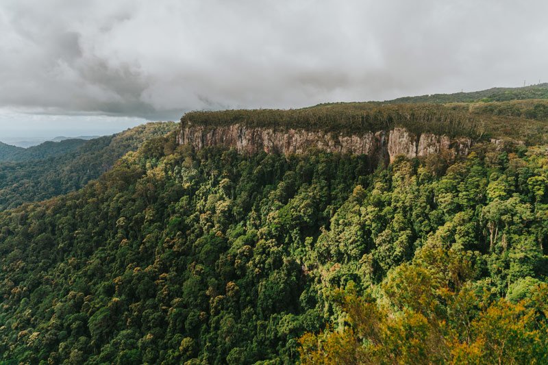 queensland clima