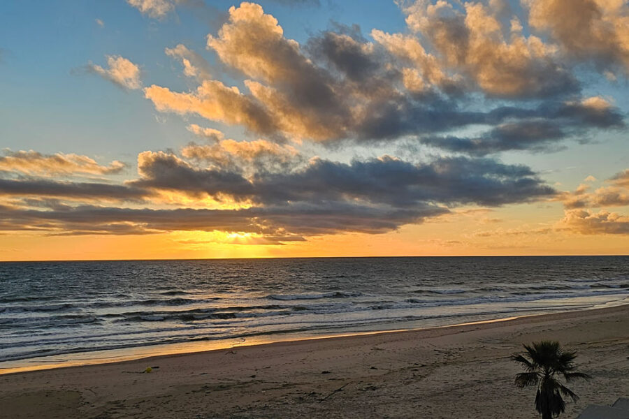 visitar doñana