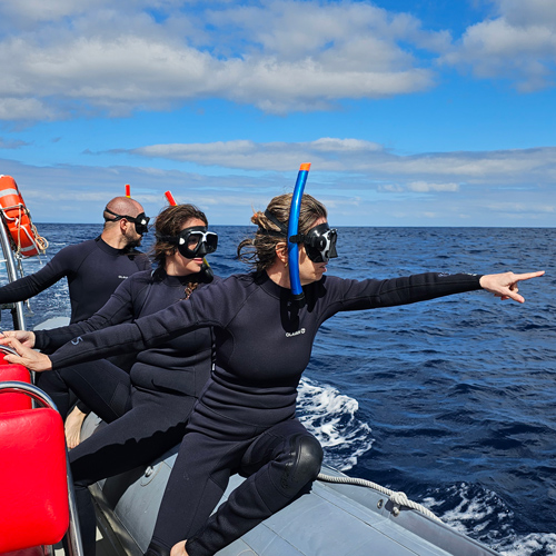 viajar a azores grupo