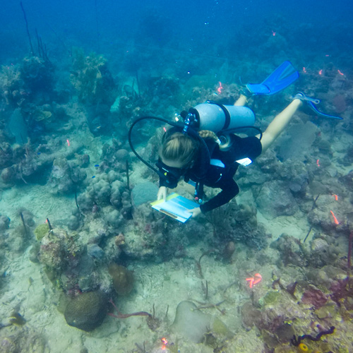 republica dominicana proyectos ecológicos