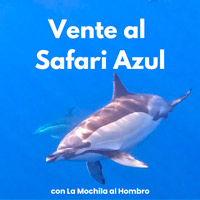 Safari Azul