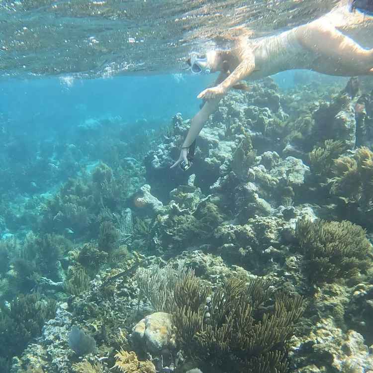 snorkel república dominicana