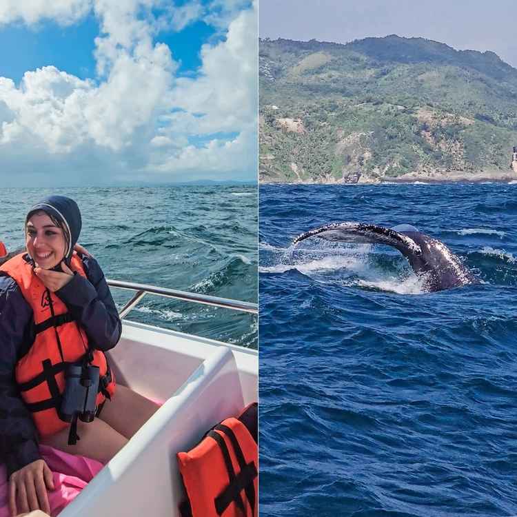 ver ballenas en samana
