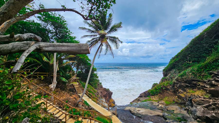 dominica indigenas