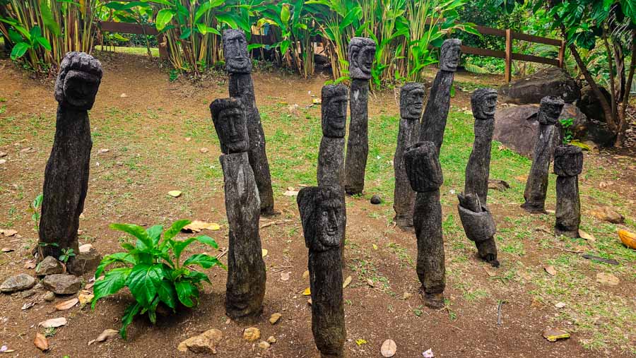 indigenas dominica