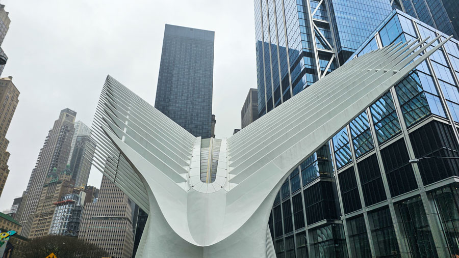 viaja a nueva york
