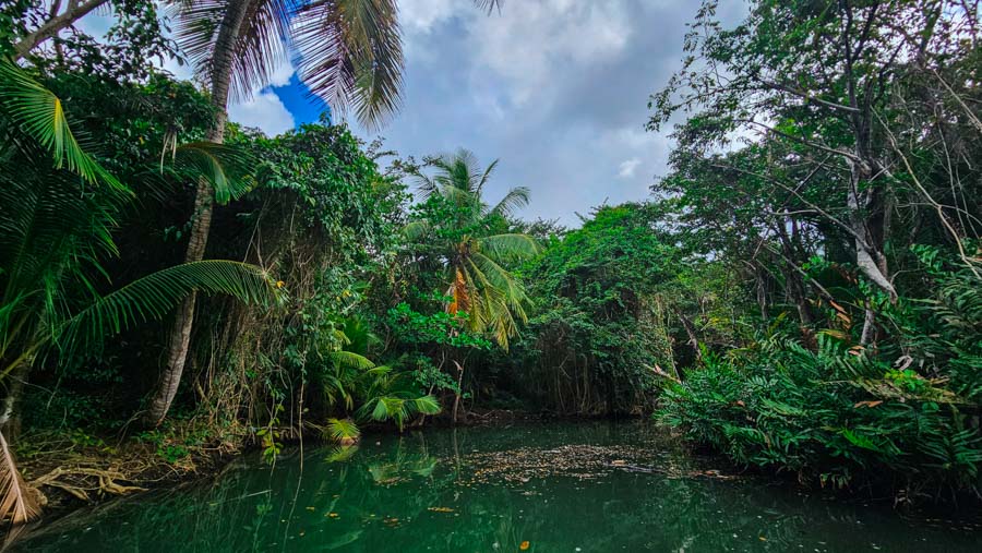viajar a dominica caribe