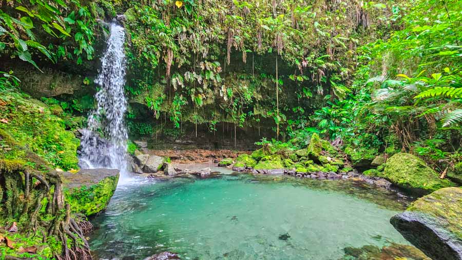 viajes dominica