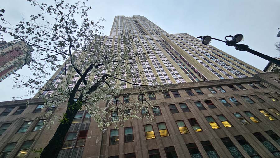 viajes nueva york