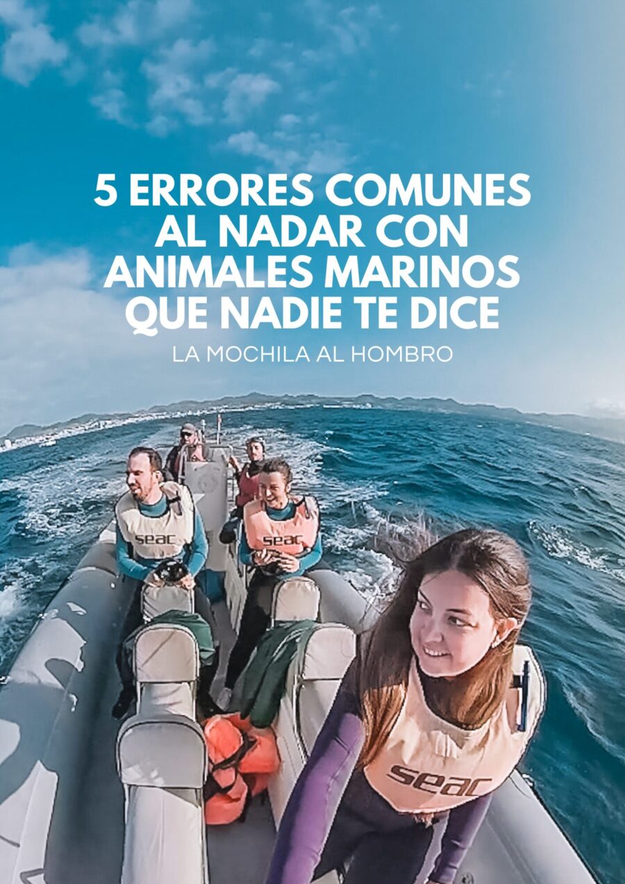 nadar con animales marinos