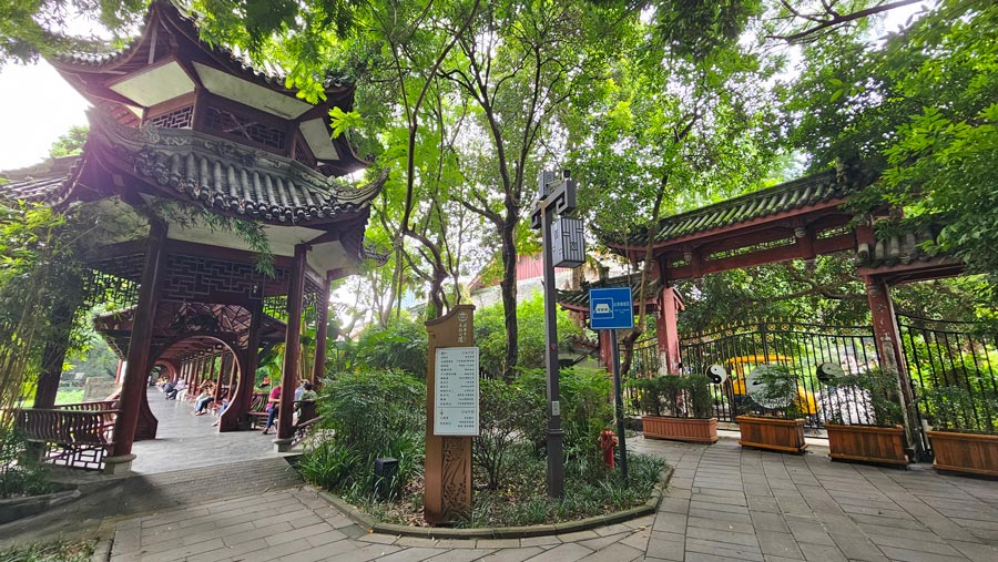 que hacer en chengdu