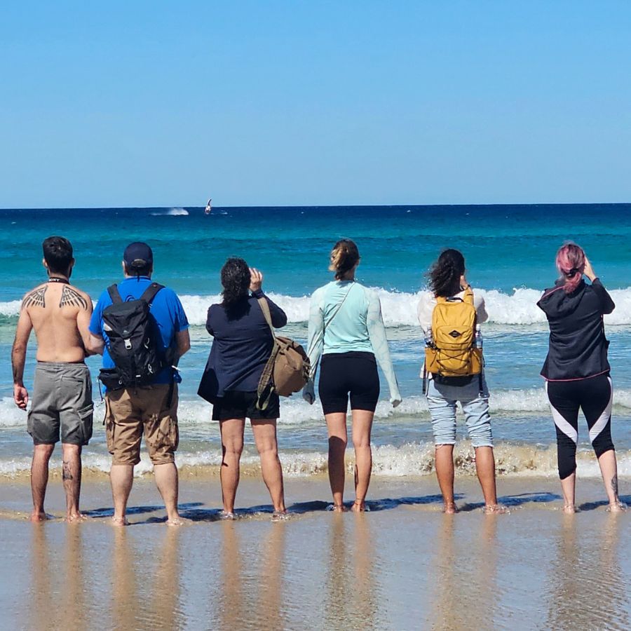 nadar con ballenas en australia nadar con ballenas en australia