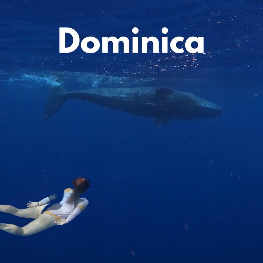 viaje a dominica