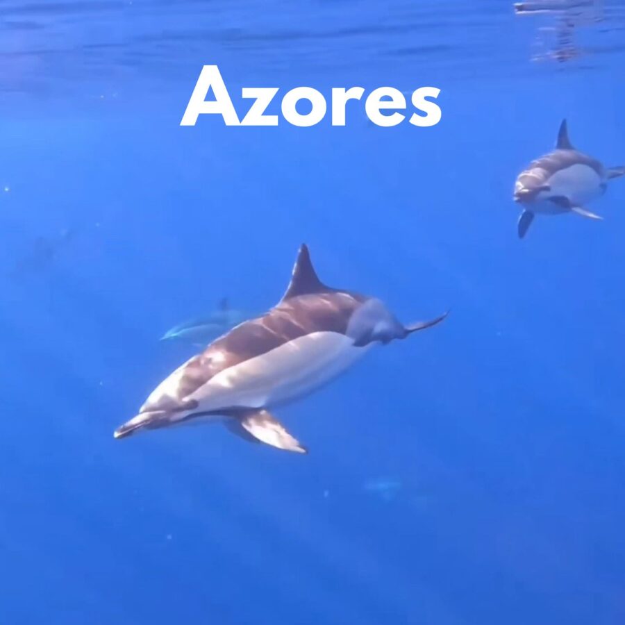 viaje azores