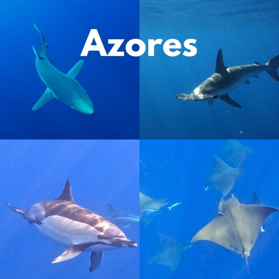 viaje a azores