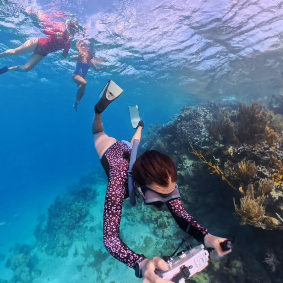 snorkel republica dominicana