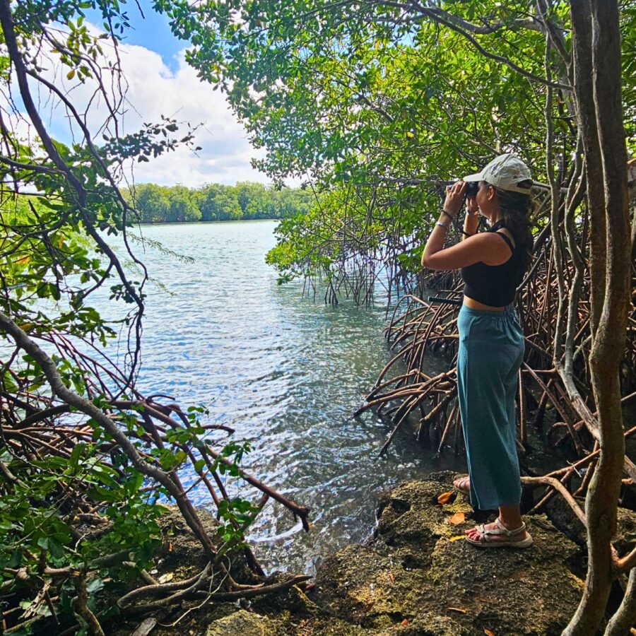 santuario de manati republica dominicana