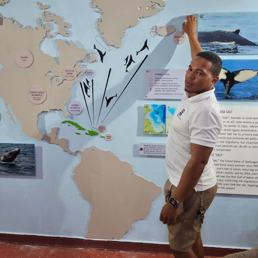 proyectos de conservacion republica dominicana