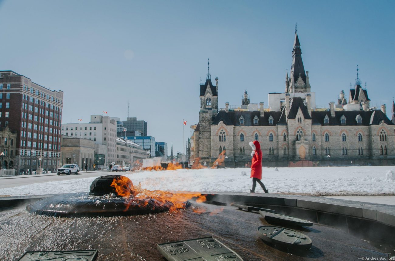 Llama Centenaria en el Parlamento de Ottawa