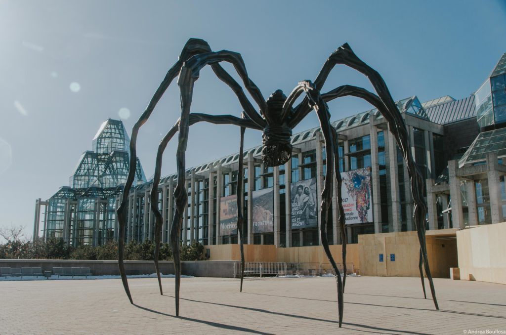 araña gigante en Ottawa
