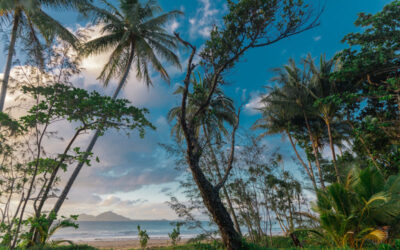 Los 20 MEJORES lugares que ver en Queensland