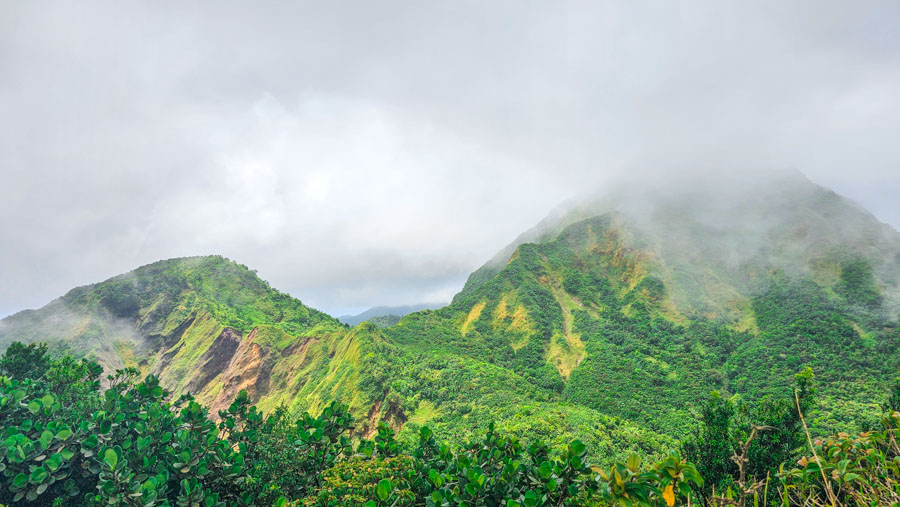 Viajar a Dominica: qué ver en la isla salvaje del Caribe